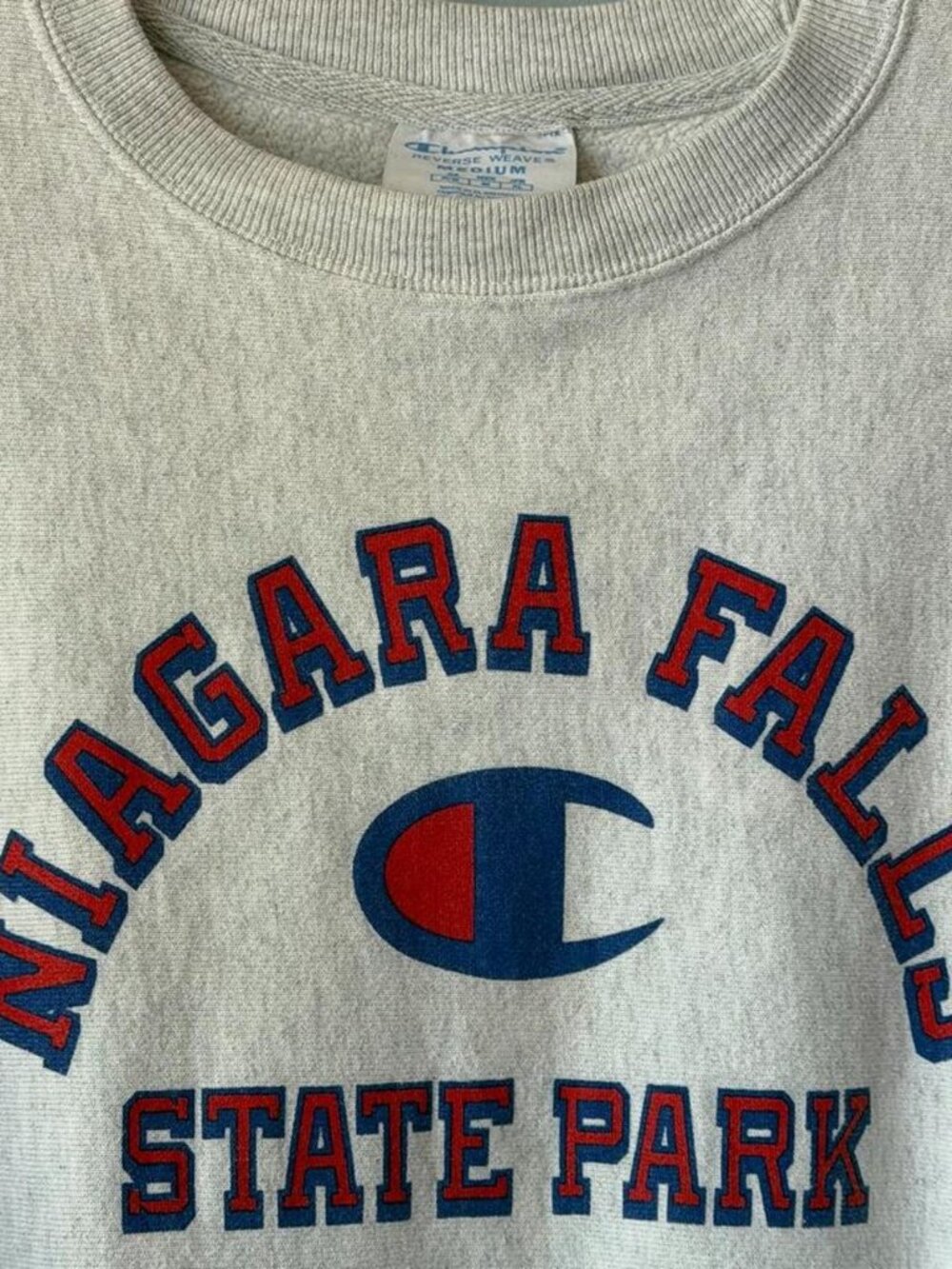 Champion reverse weave Niagara Falls sweatshirt